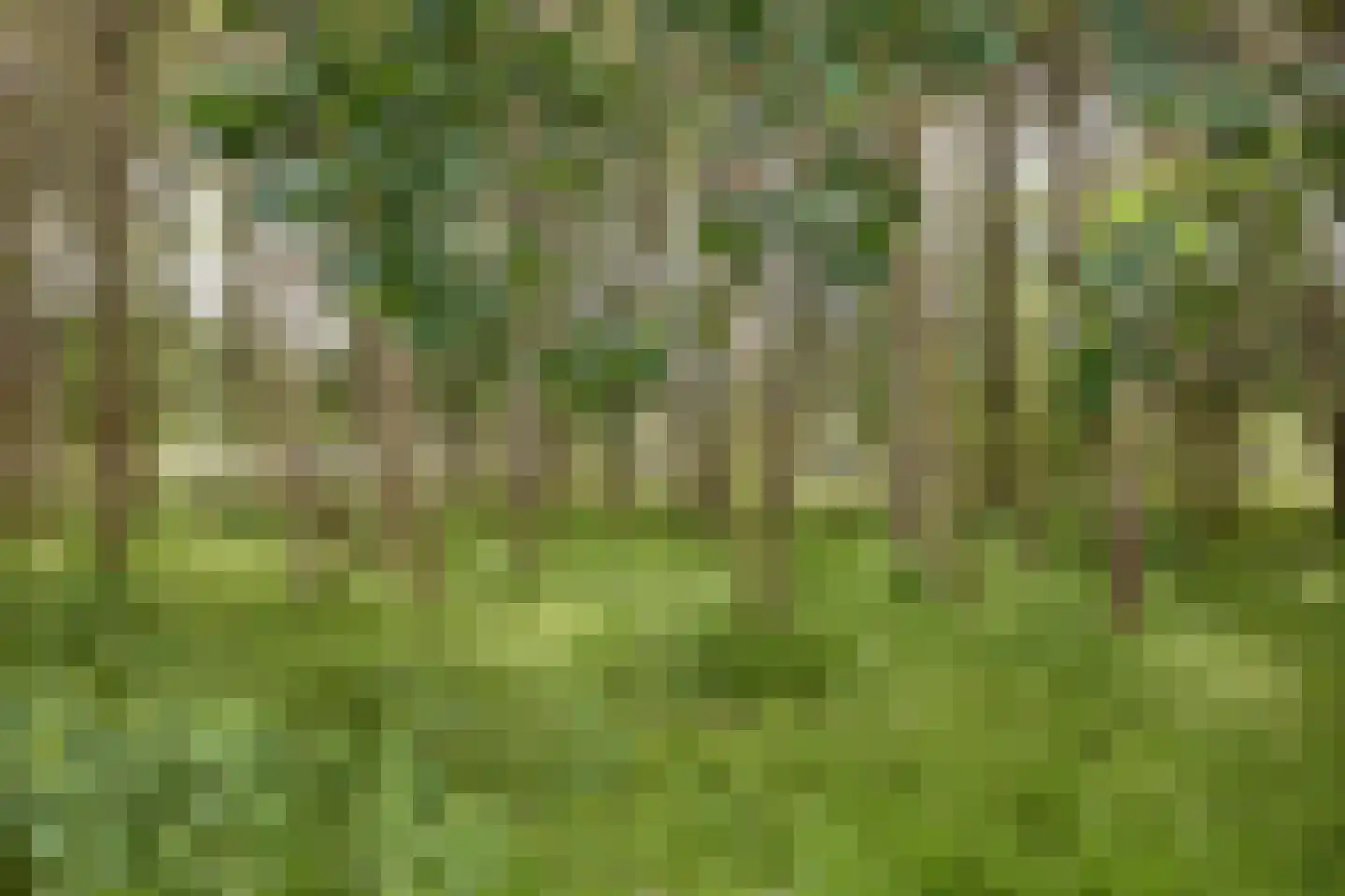 Rijksstraatweg 128 Glimmen thumbnail 62