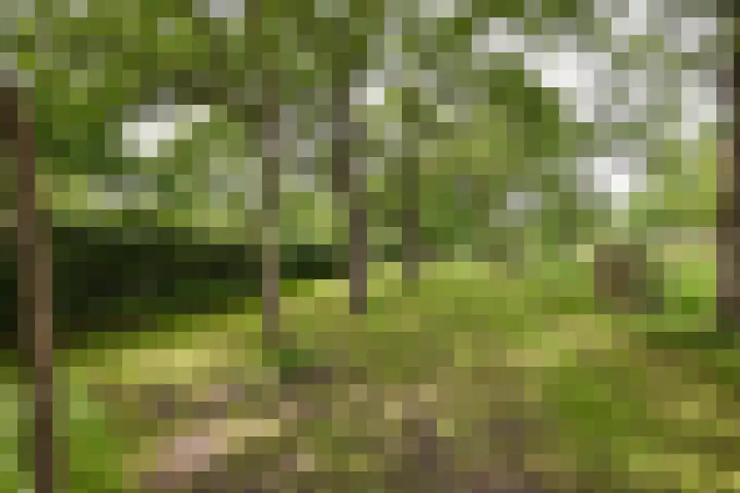 Rijksstraatweg 128 Glimmen thumbnail 64