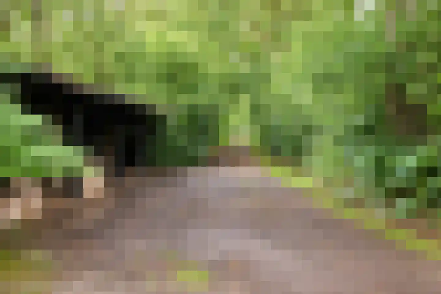 Rijksstraatweg 128 Glimmen thumbnail 65