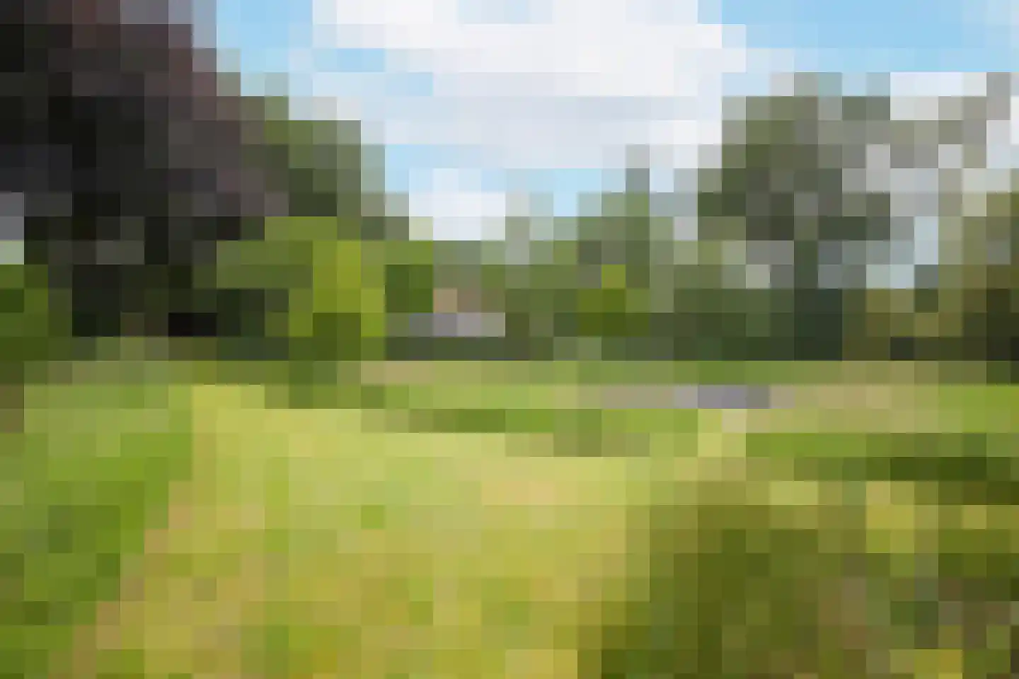 Rijksstraatweg 128 Glimmen thumbnail 7