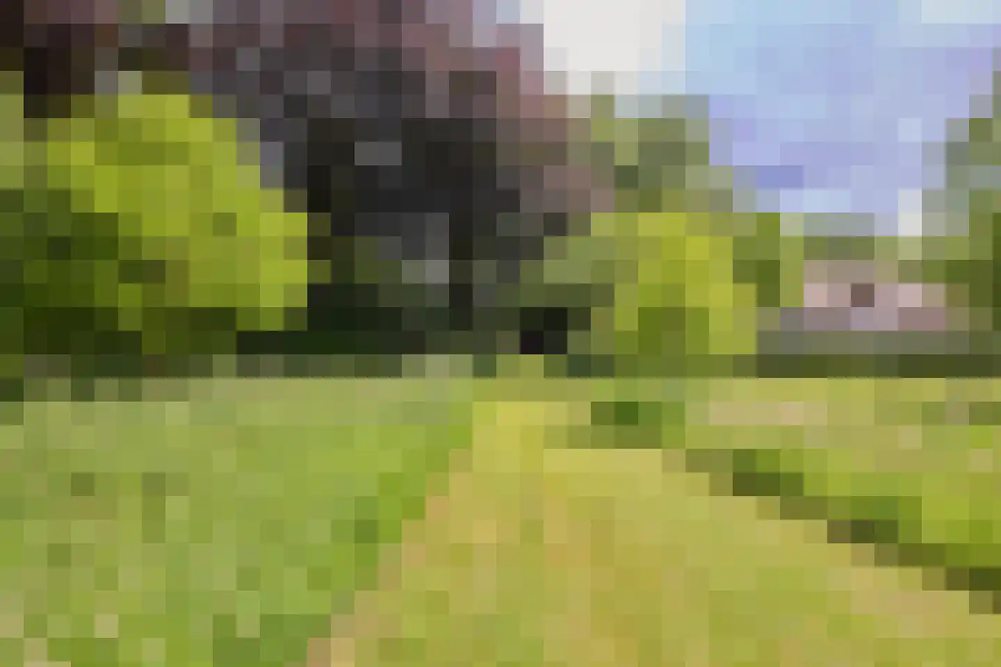 Rijksstraatweg 128 Glimmen thumbnail 8