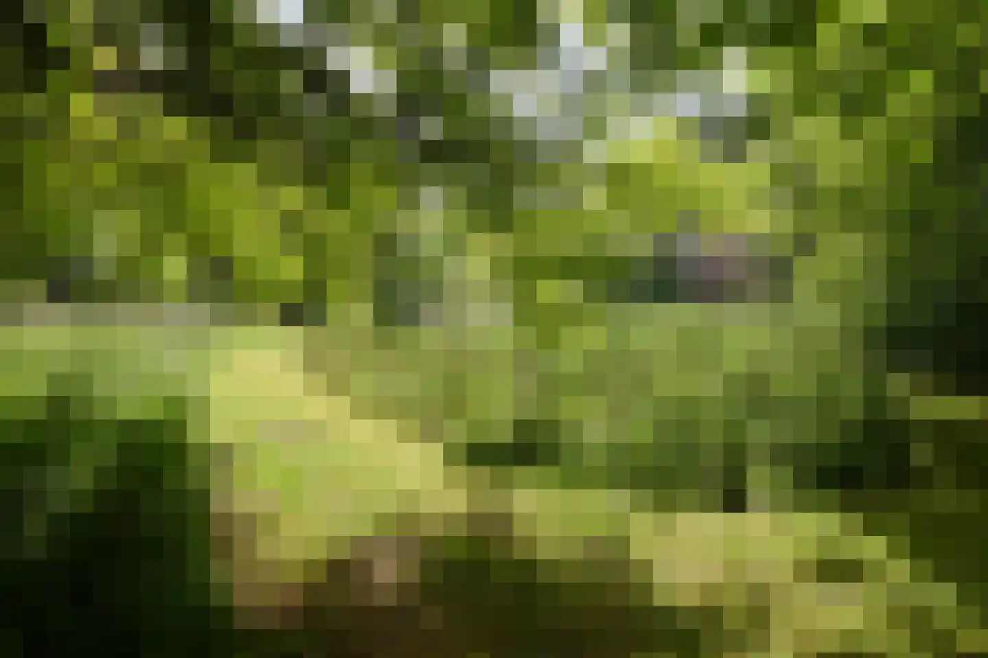 Rijksstraatweg 128 Glimmen thumbnail 9