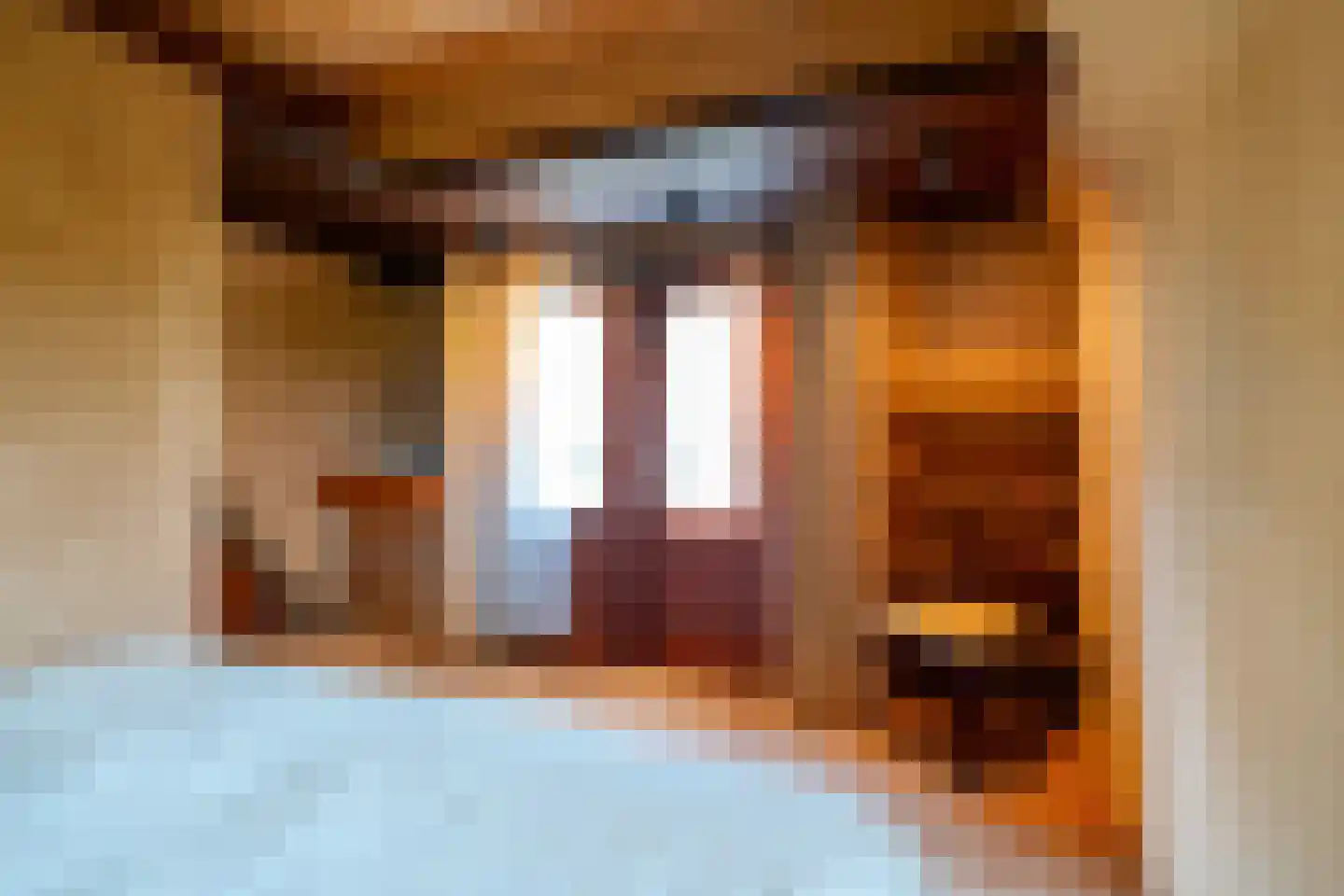 Rijksstraatweg 130 Glimmen thumbnail 39