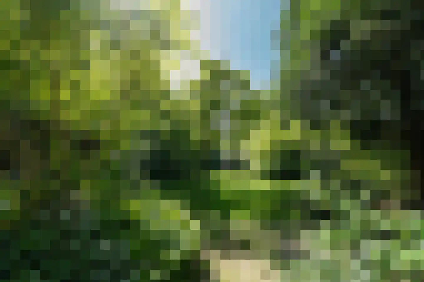 Rijksstraatweg 130 Glimmen thumbnail 4
