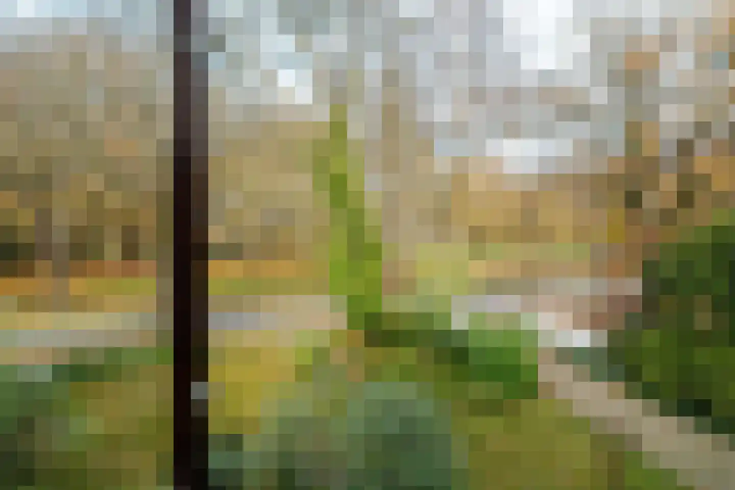 Rijksstraatweg 130 Glimmen thumbnail 43