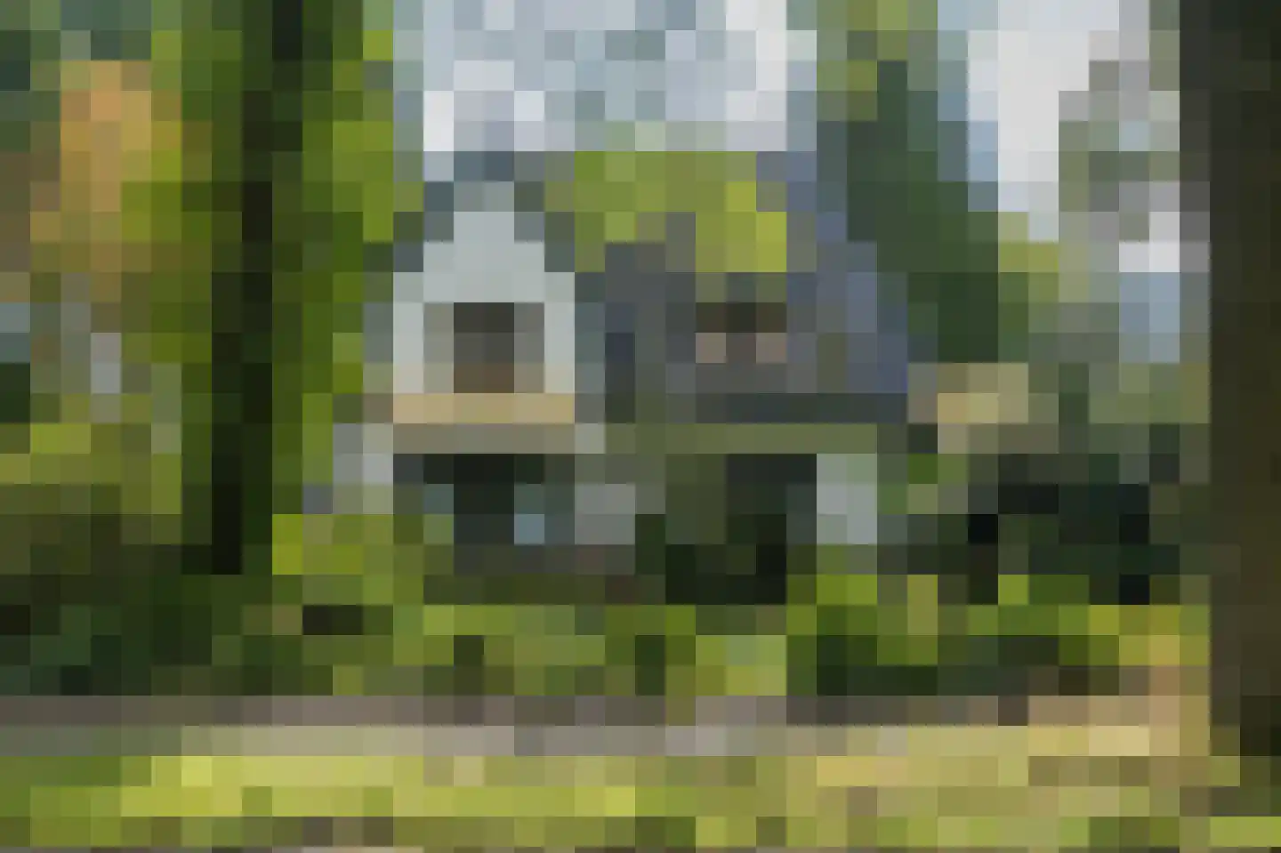 Rijksstraatweg 130 Glimmen thumbnail 5