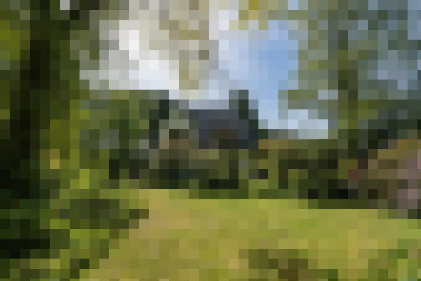 Rijksstraatweg 130 Glimmen thumbnail 50