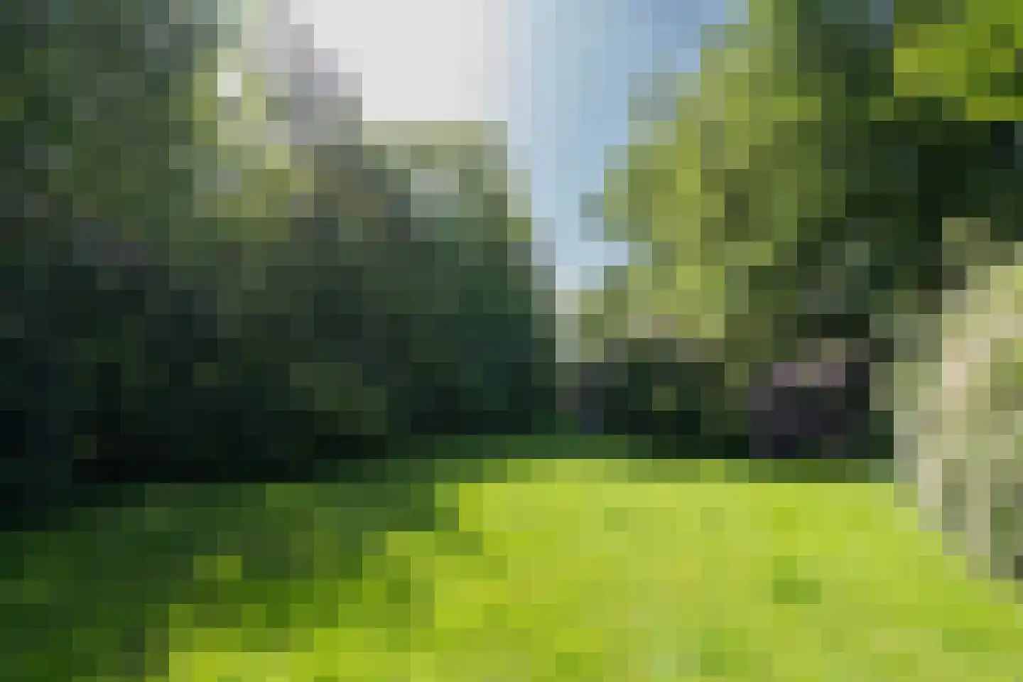 Rijksstraatweg 130 Glimmen thumbnail 52