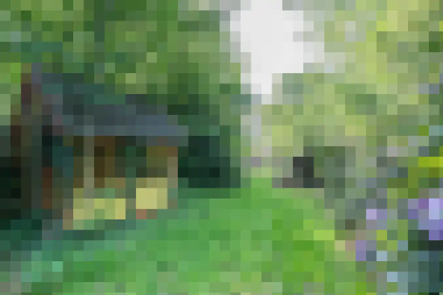Rijksstraatweg 130 Glimmen thumbnail 53