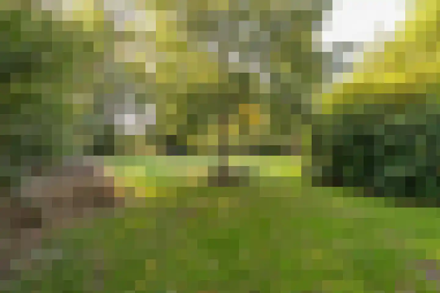 Rijksstraatweg 130 Glimmen thumbnail 55
