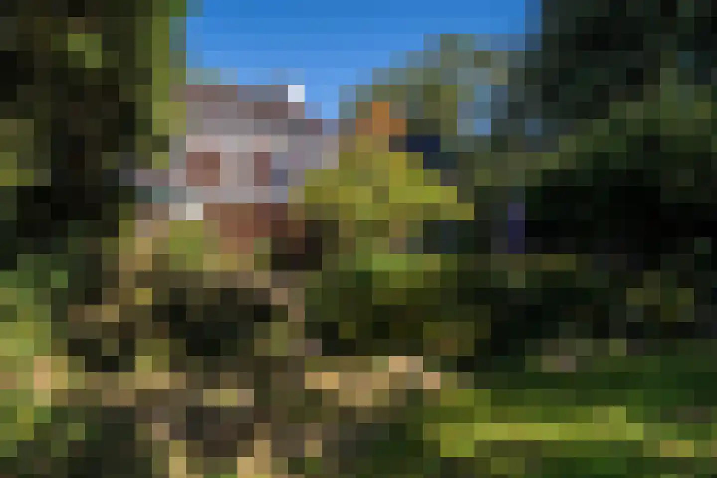 Rijksstraatweg 130 Glimmen thumbnail 57