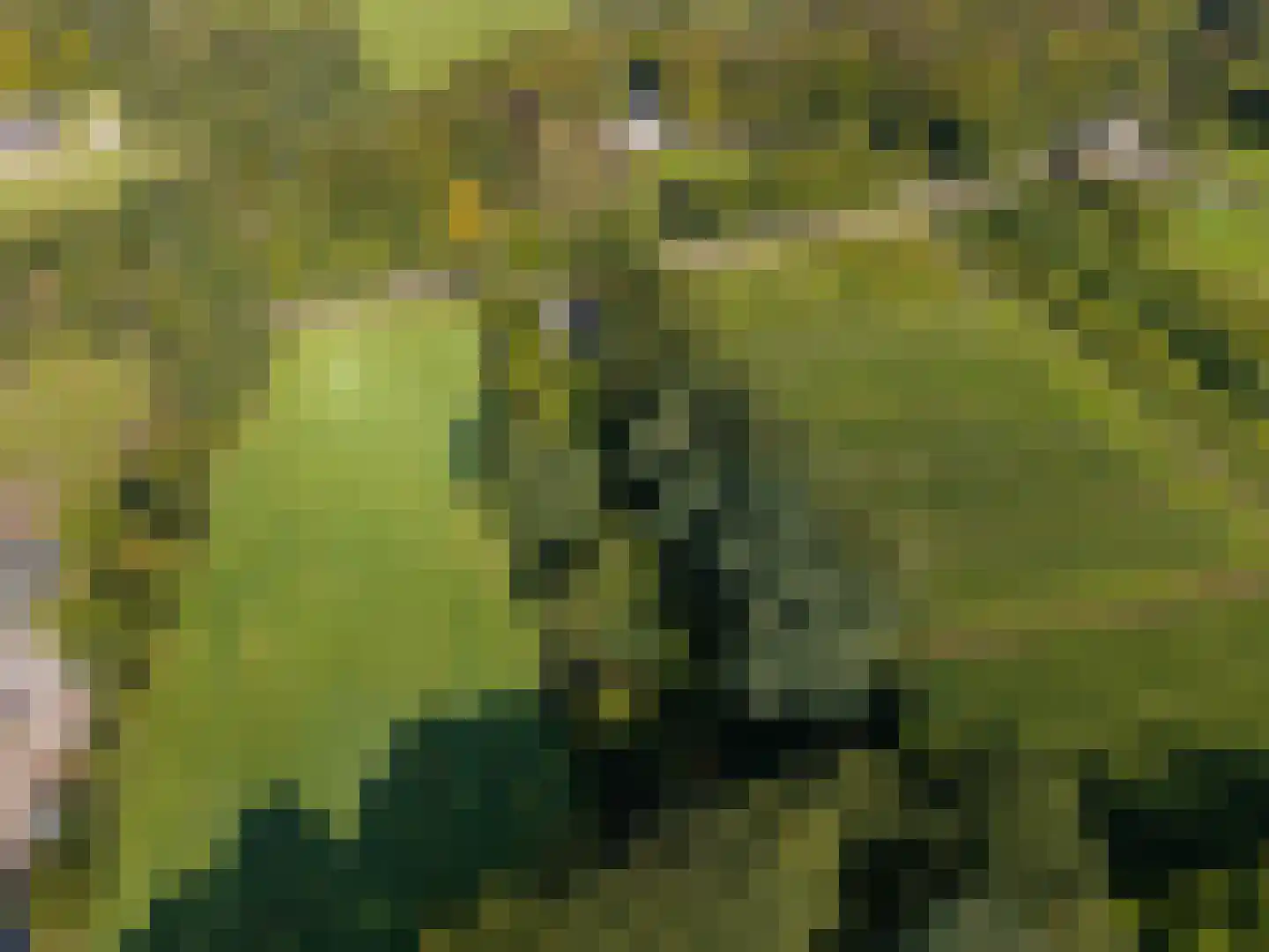 Rijksstraatweg 130 Glimmen thumbnail 60