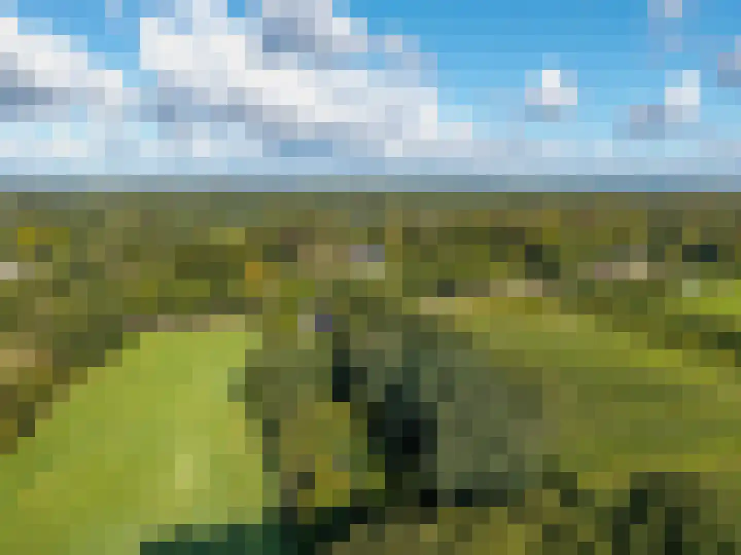 Rijksstraatweg 130 Glimmen thumbnail 61