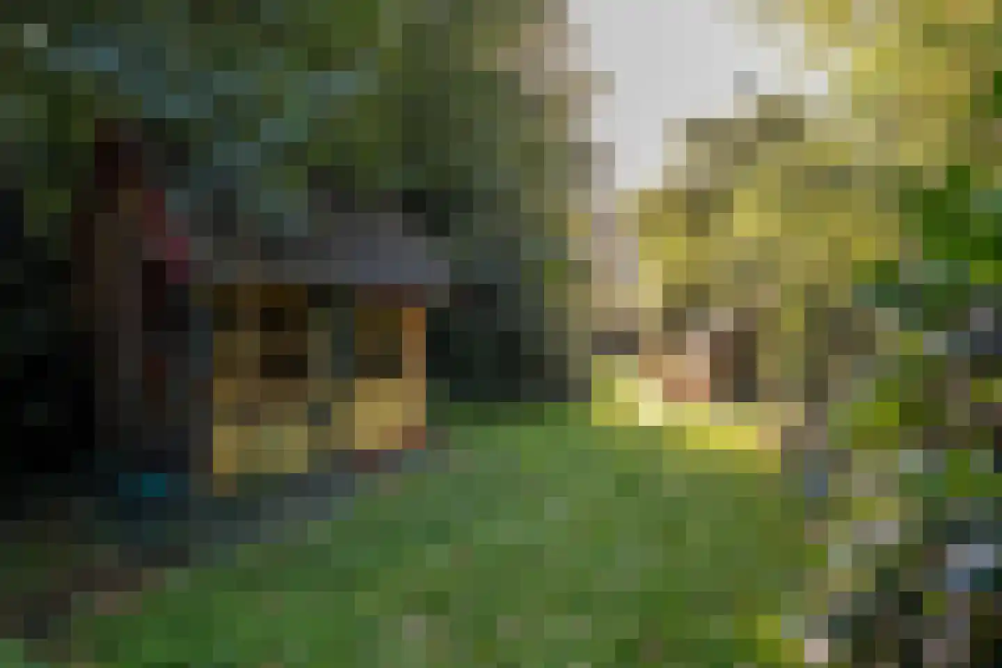 Rijksstraatweg 130 Glimmen thumbnail 63