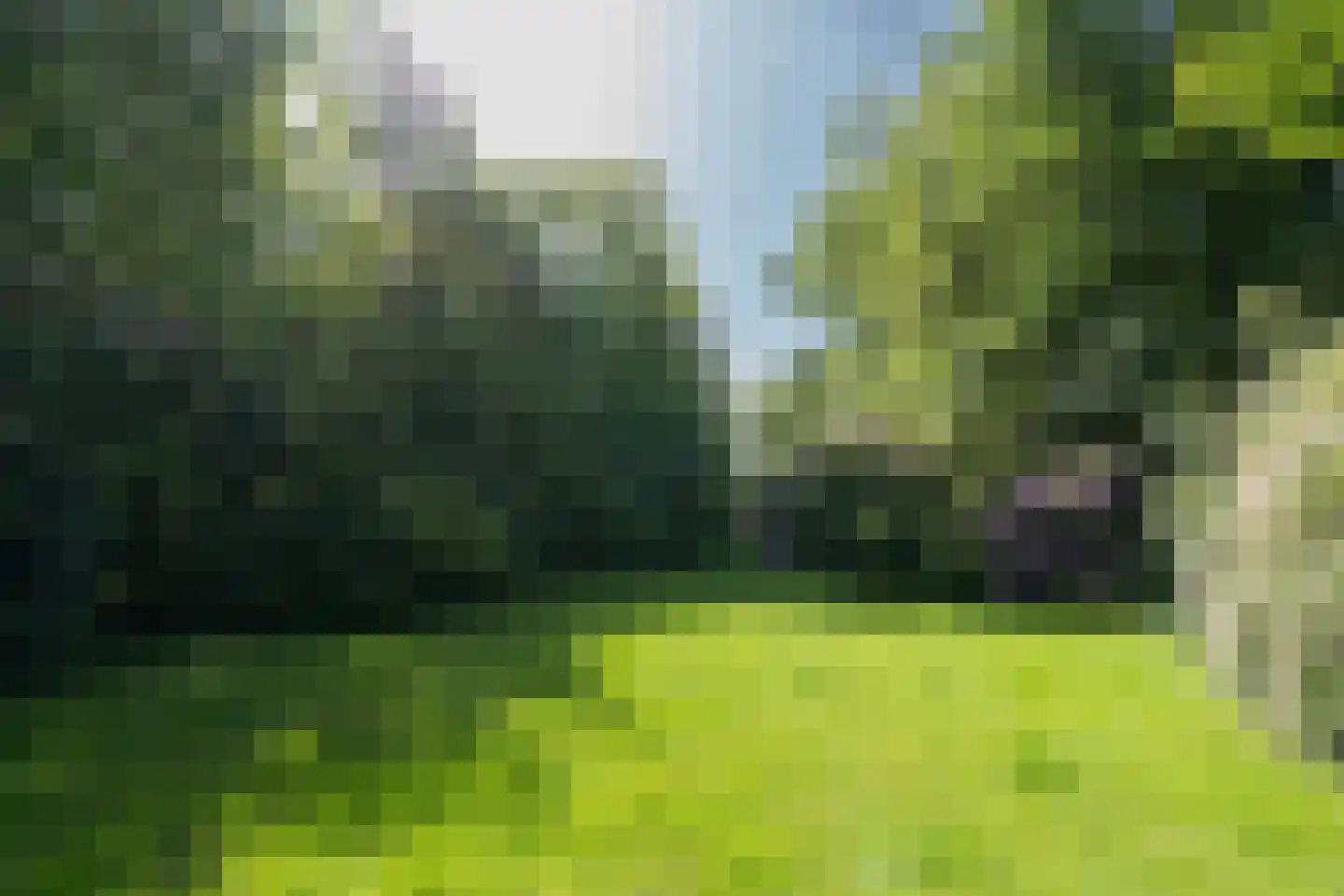 Rijksstraatweg 130 Glimmen thumbnail 67