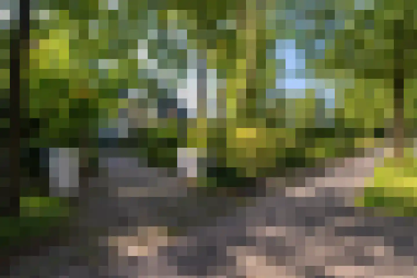 Rijksstraatweg 130 Glimmen thumbnail 8