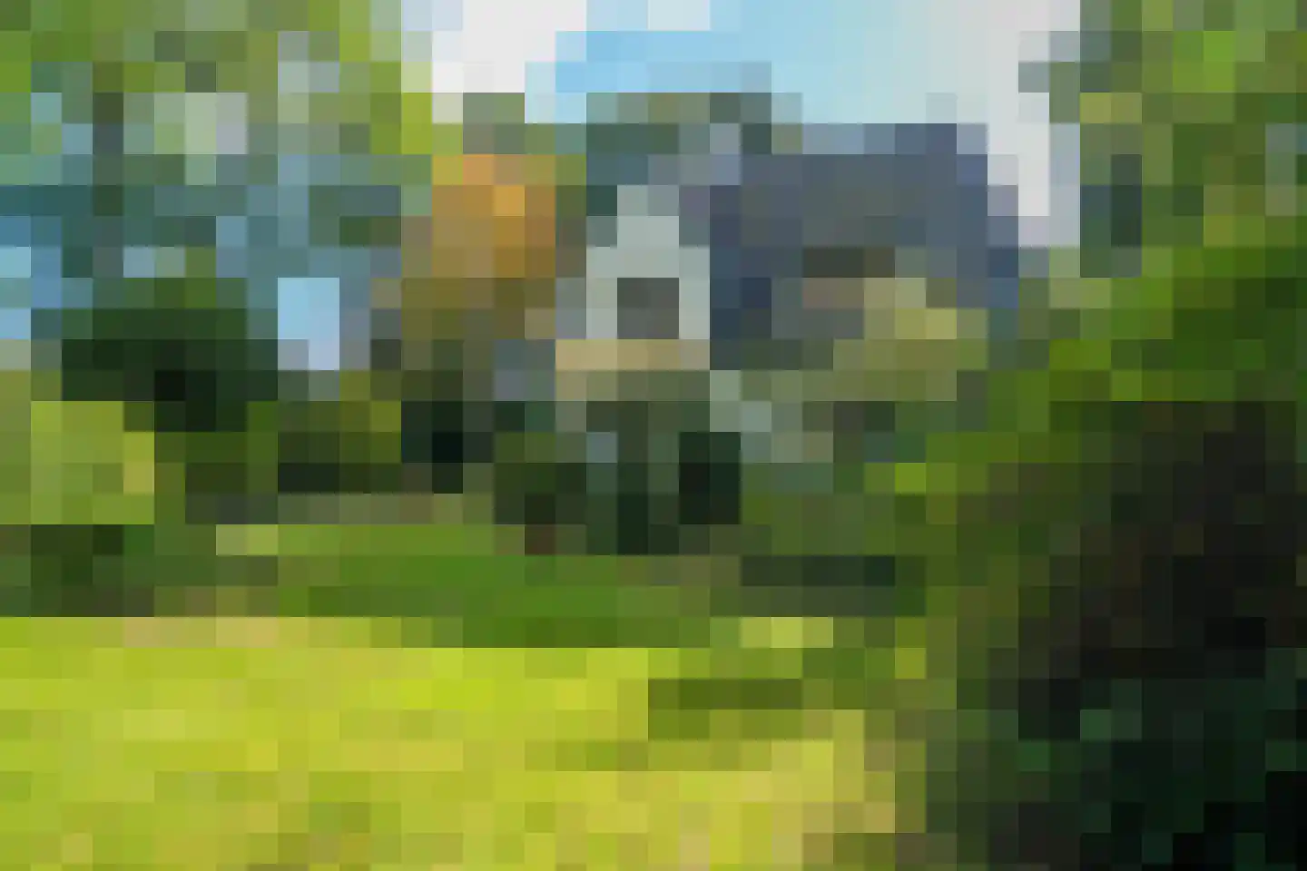 Rijksstraatweg 130 Glimmen thumbnail 9