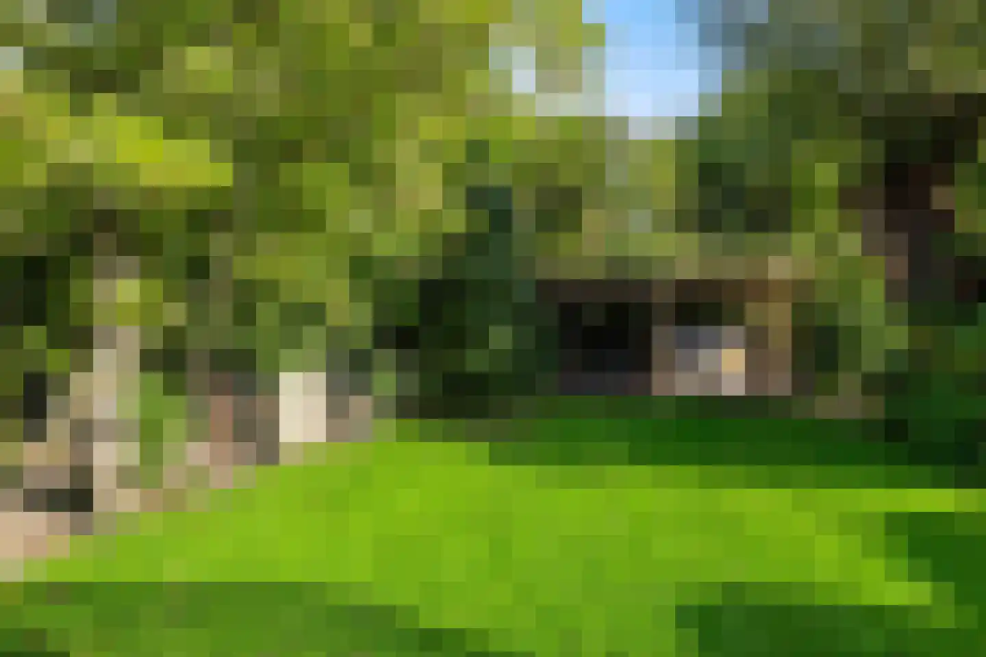 Rijksstraatweg 130 Haren Gn thumbnail 29