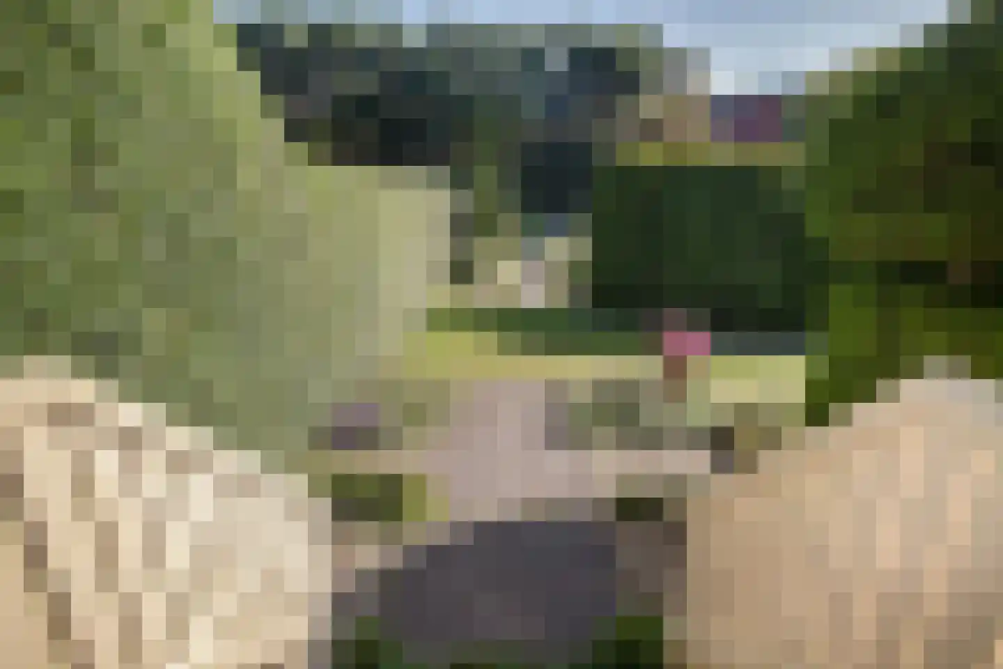 Rijksstraatweg 131 Beek thumbnail 30