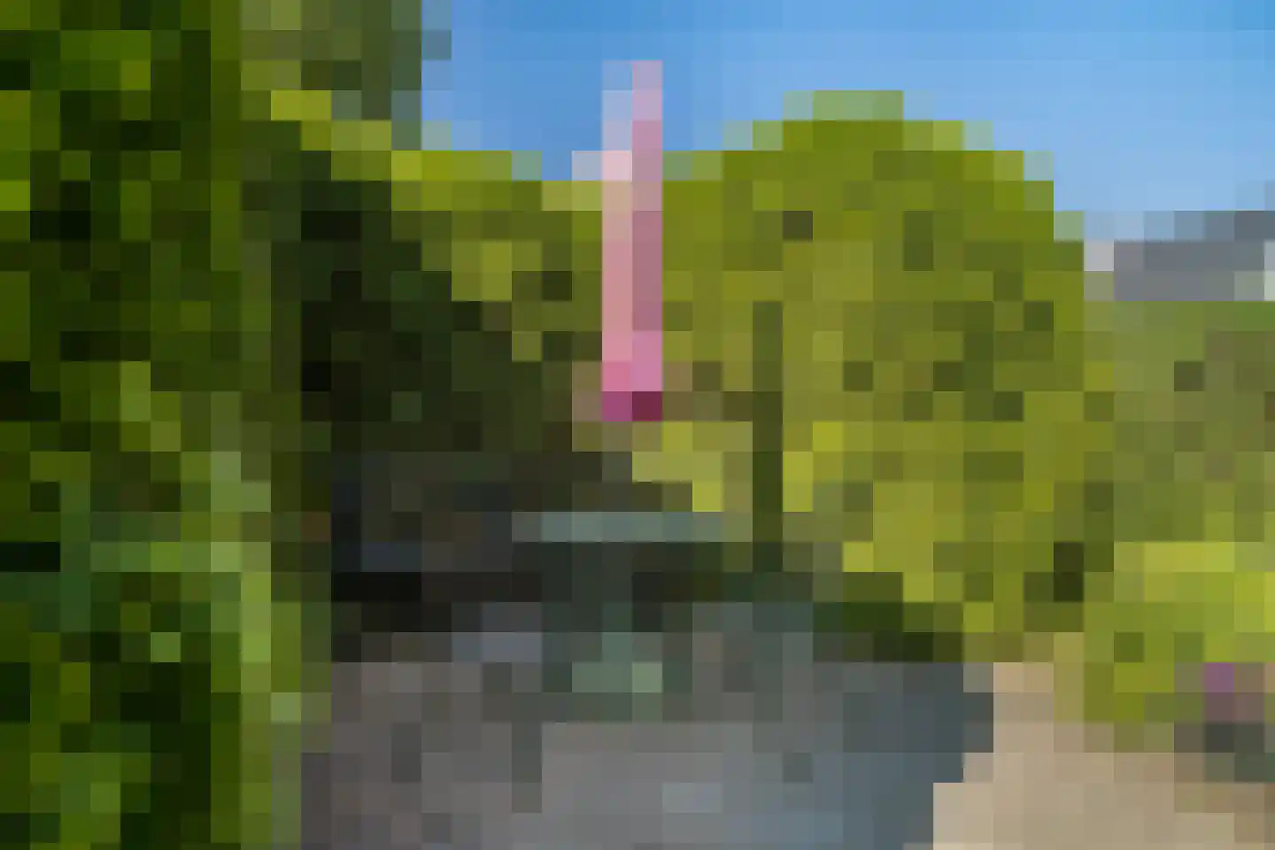 Rijksstraatweg 131 Beek thumbnail 42
