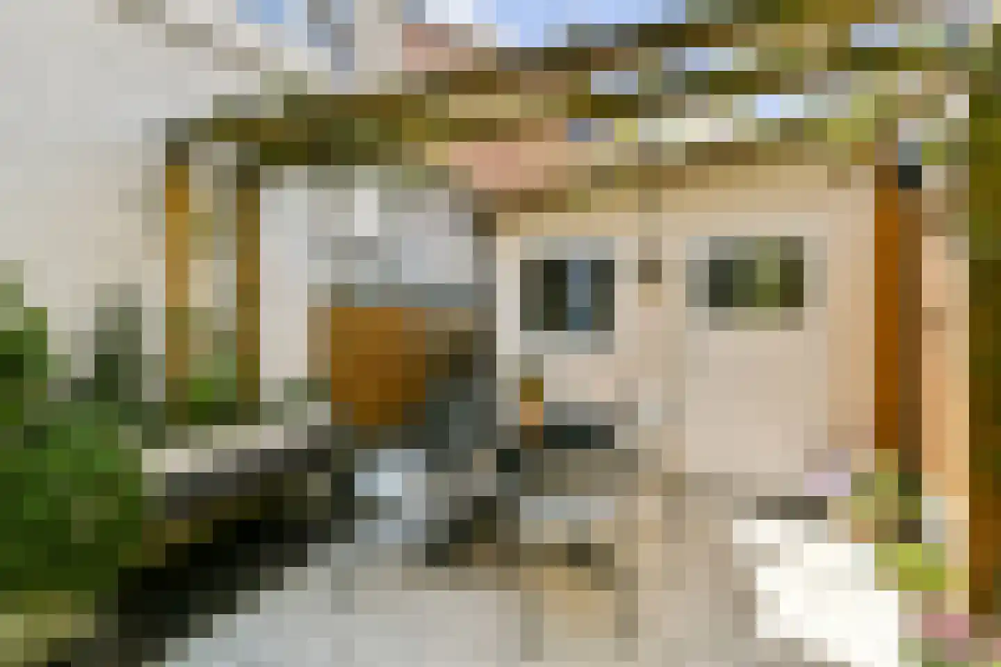 Rijksstraatweg 132 Duivendrecht thumbnail 8
