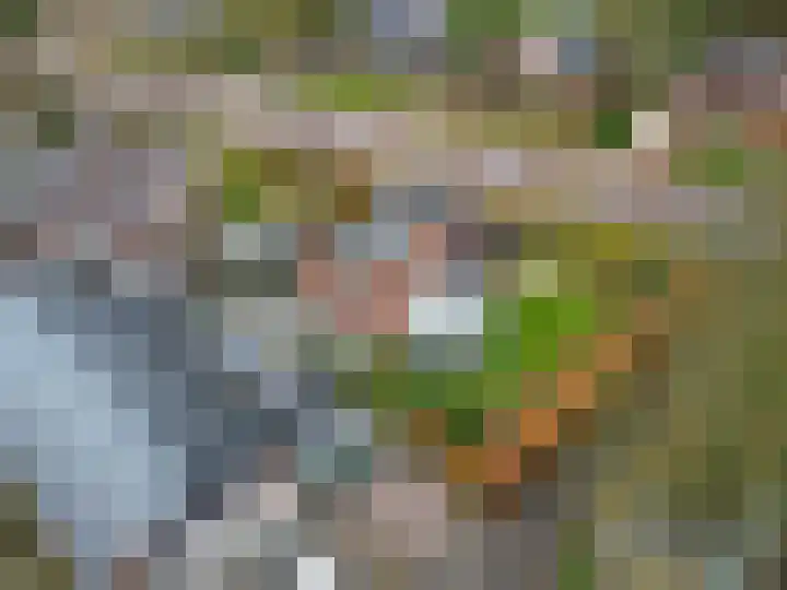 Rijksstraatweg 14 Noordhorn thumbnail 4