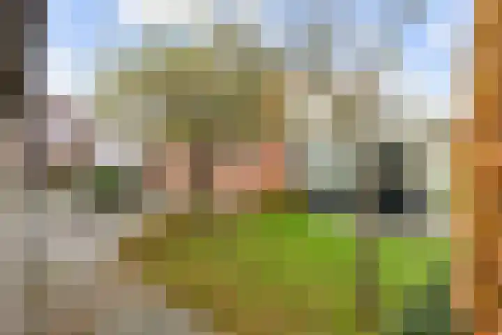 Rijksstraatweg 14 Noordhorn thumbnail 41