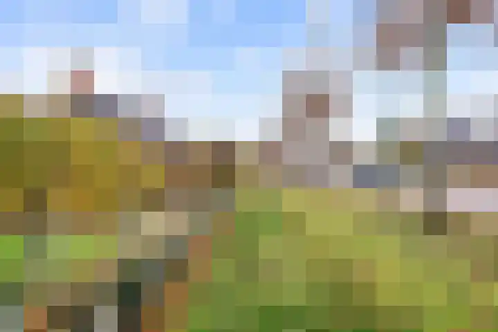 Rijksstraatweg 14 Noordhorn thumbnail 6