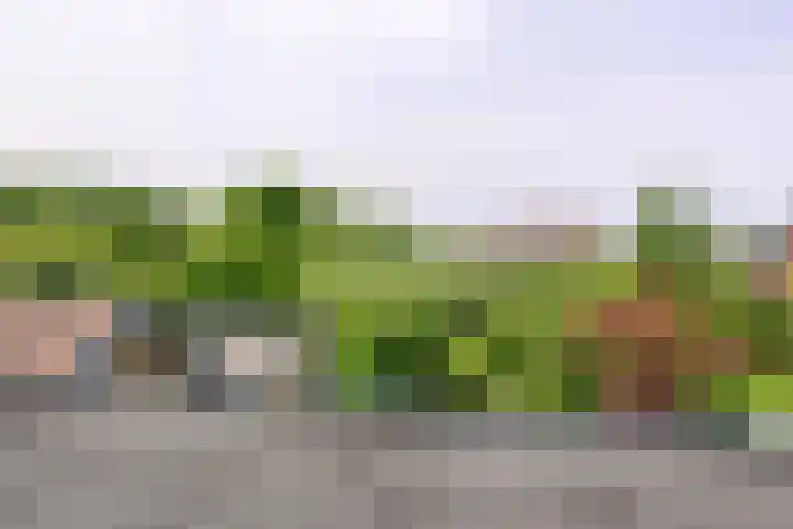 Rijksstraatweg 141 Heemskerk thumbnail 27