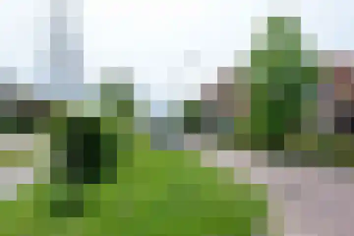 Rijksstraatweg 141 Heemskerk thumbnail 56