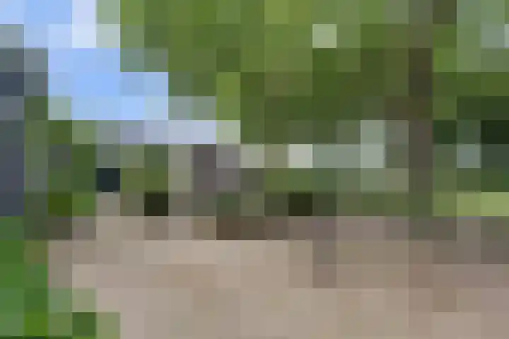 Rijksstraatweg 145 Twello thumbnail 37
