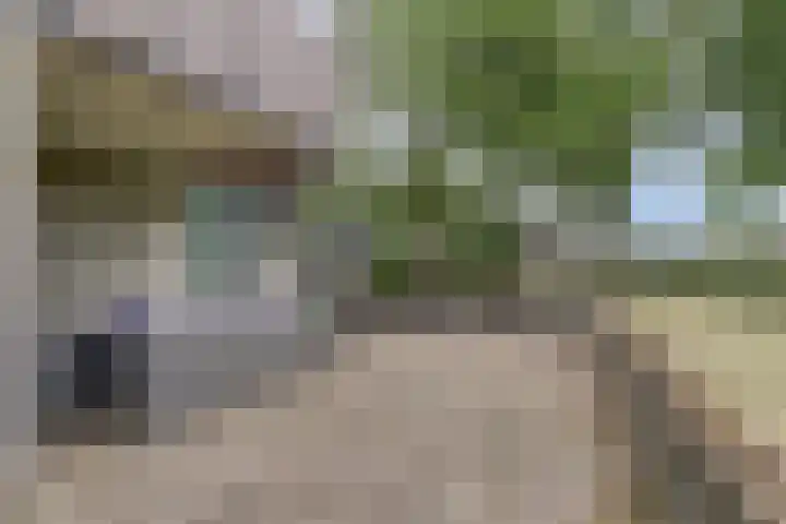 Rijksstraatweg 145 Twello thumbnail 39