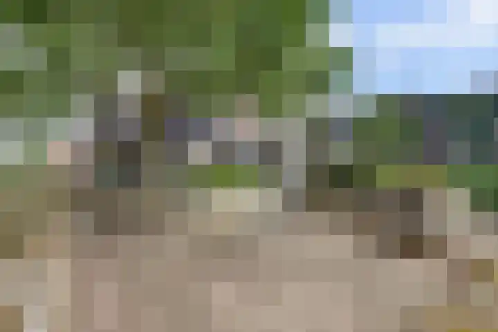 Rijksstraatweg 145 Twello thumbnail 4