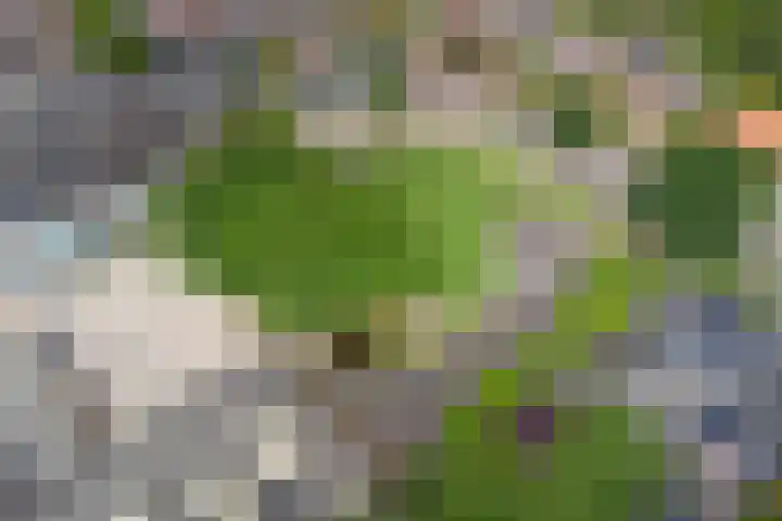 Rijksstraatweg 145 Twello thumbnail 42