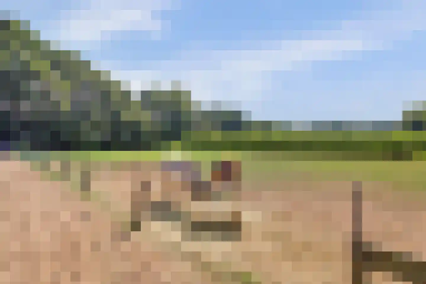 Rijksstraatweg 145 Voorst thumbnail 68