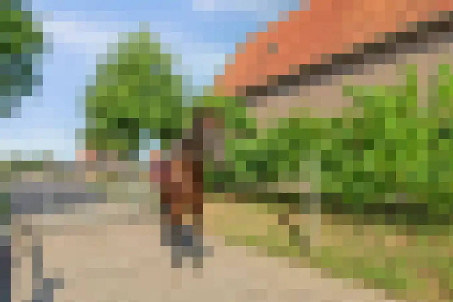 Rijksstraatweg 145 Voorst thumbnail 72