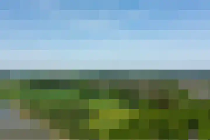 Rijksstraatweg 147 G Elst Ut thumbnail 11