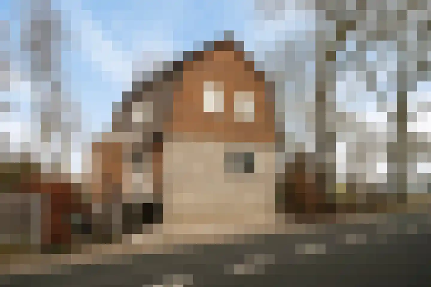 Rijksstraatweg 148 Ridderkerk