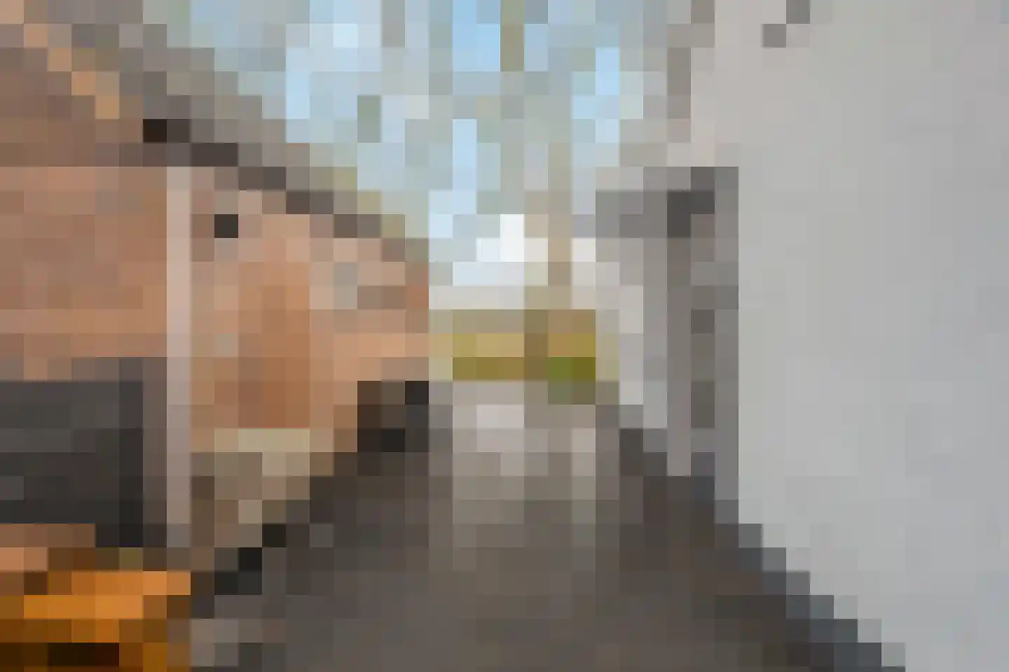 Rijksstraatweg 150 Ridderkerk thumbnail 47