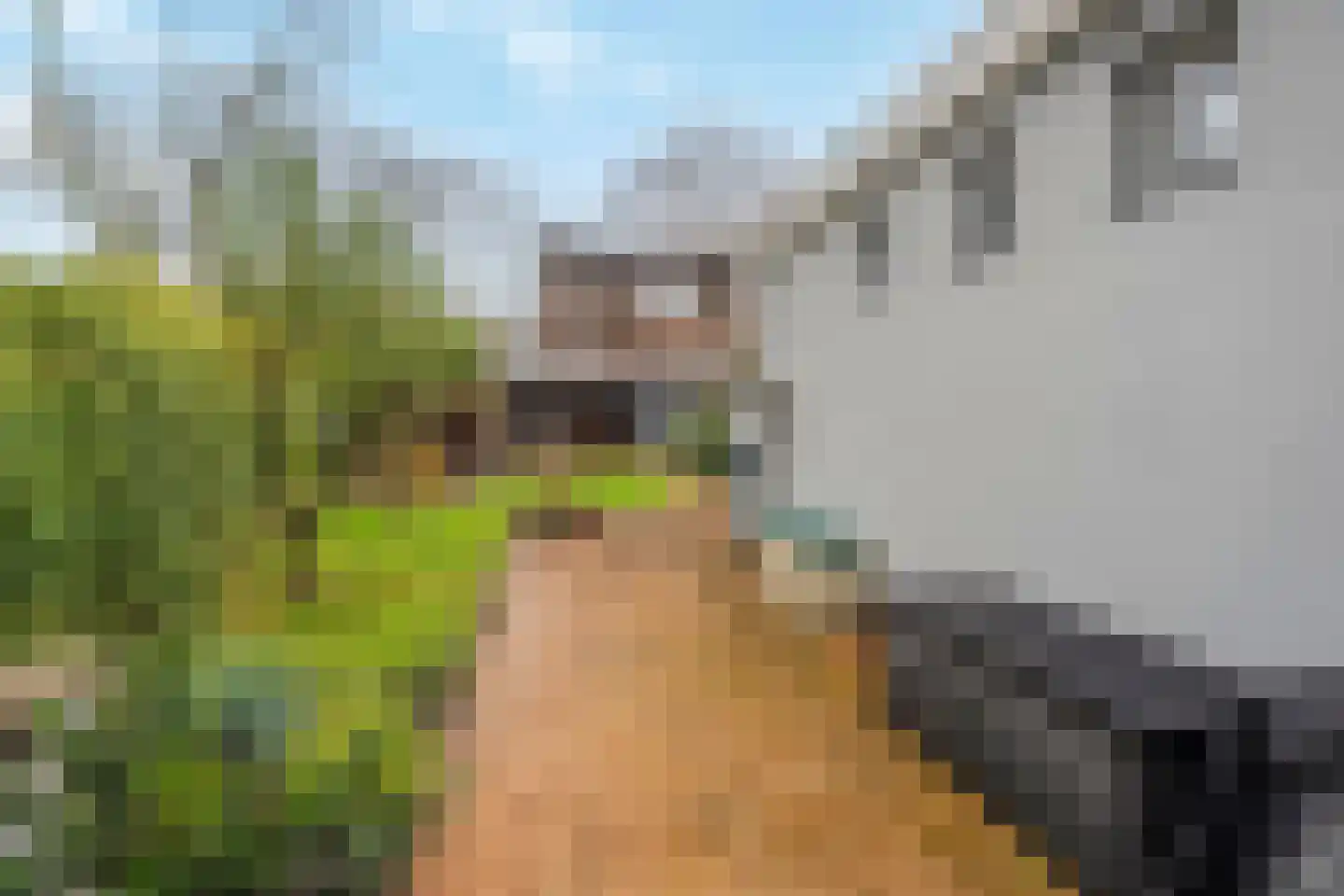 Rijksstraatweg 150 Ridderkerk thumbnail 49