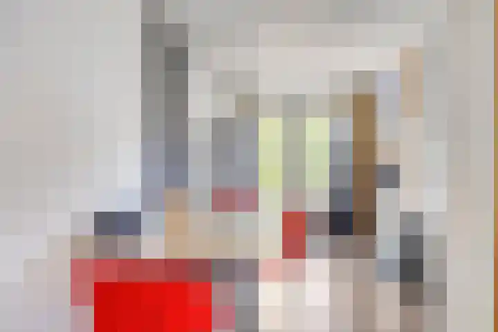 Rijksstraatweg 16 Haskerdijken thumbnail 12