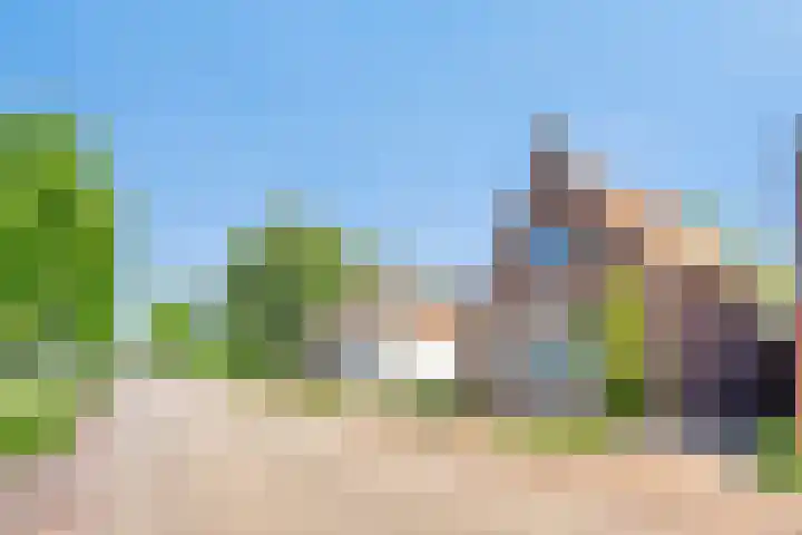 Rijksstraatweg 16 Haskerdijken thumbnail 34