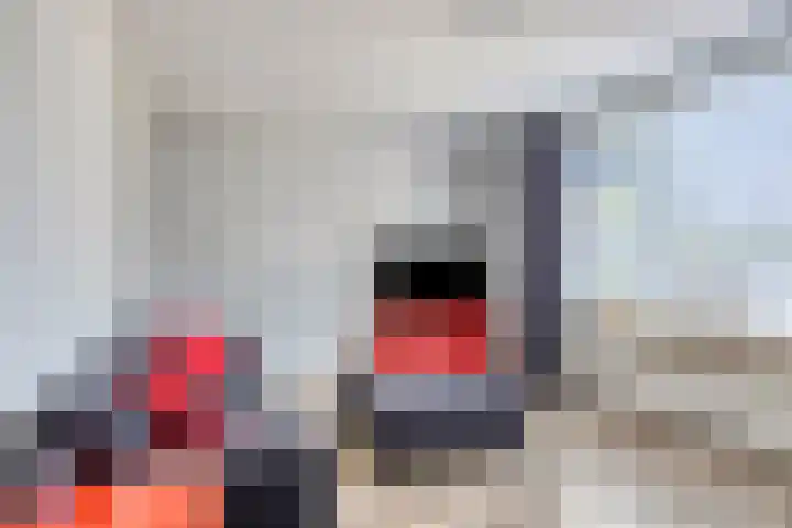 Rijksstraatweg 16 Haskerdijken thumbnail 8