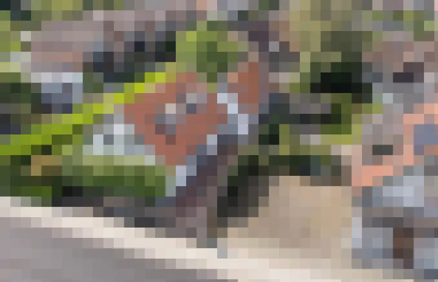Rijksstraatweg 161 Leersum