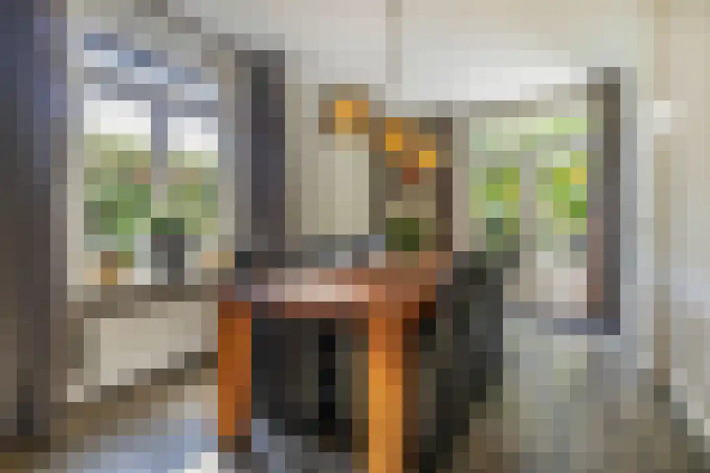 Rijksstraatweg 161 Leersum thumbnail 11