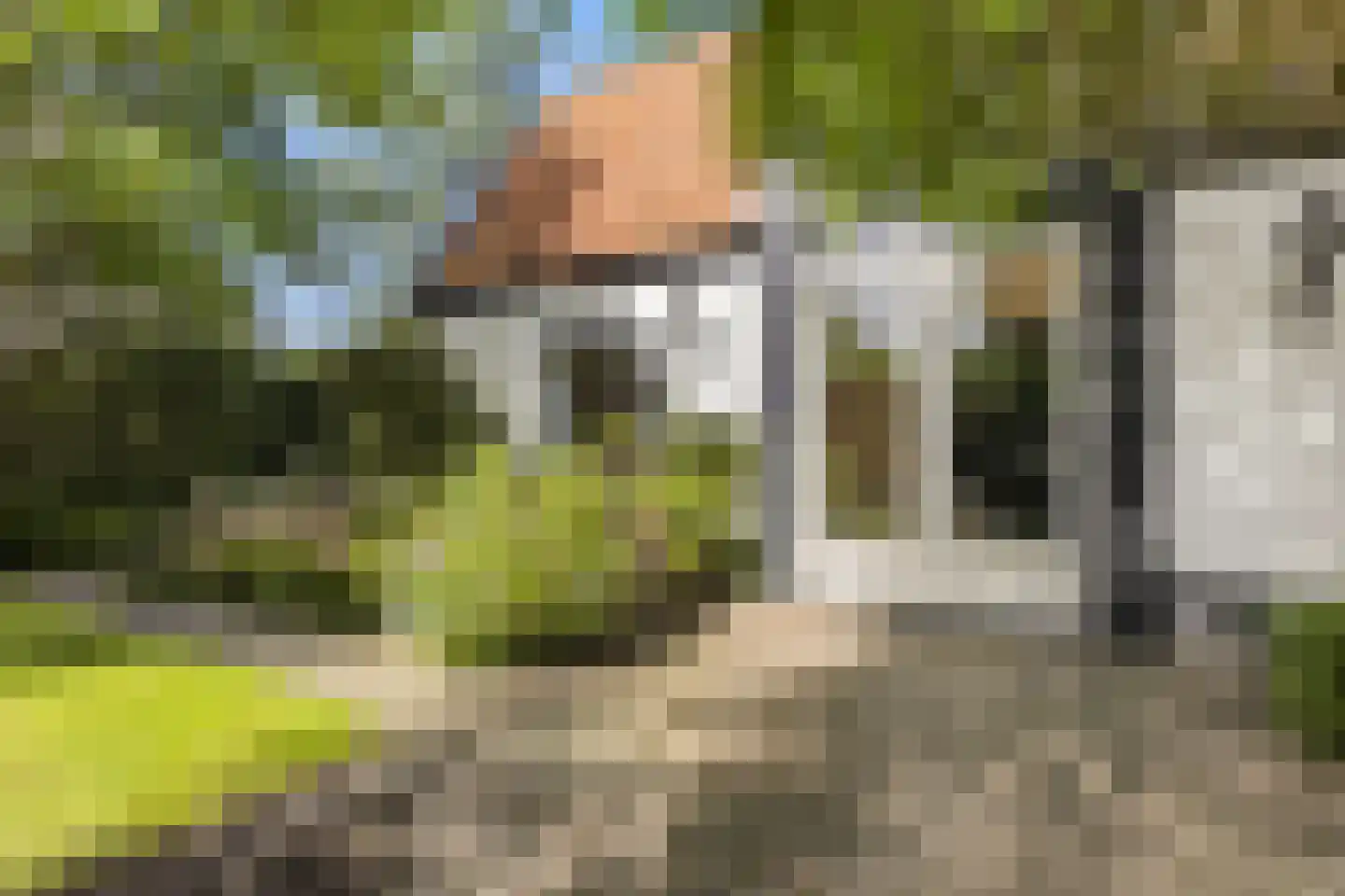 Rijksstraatweg 161 Leersum thumbnail 37