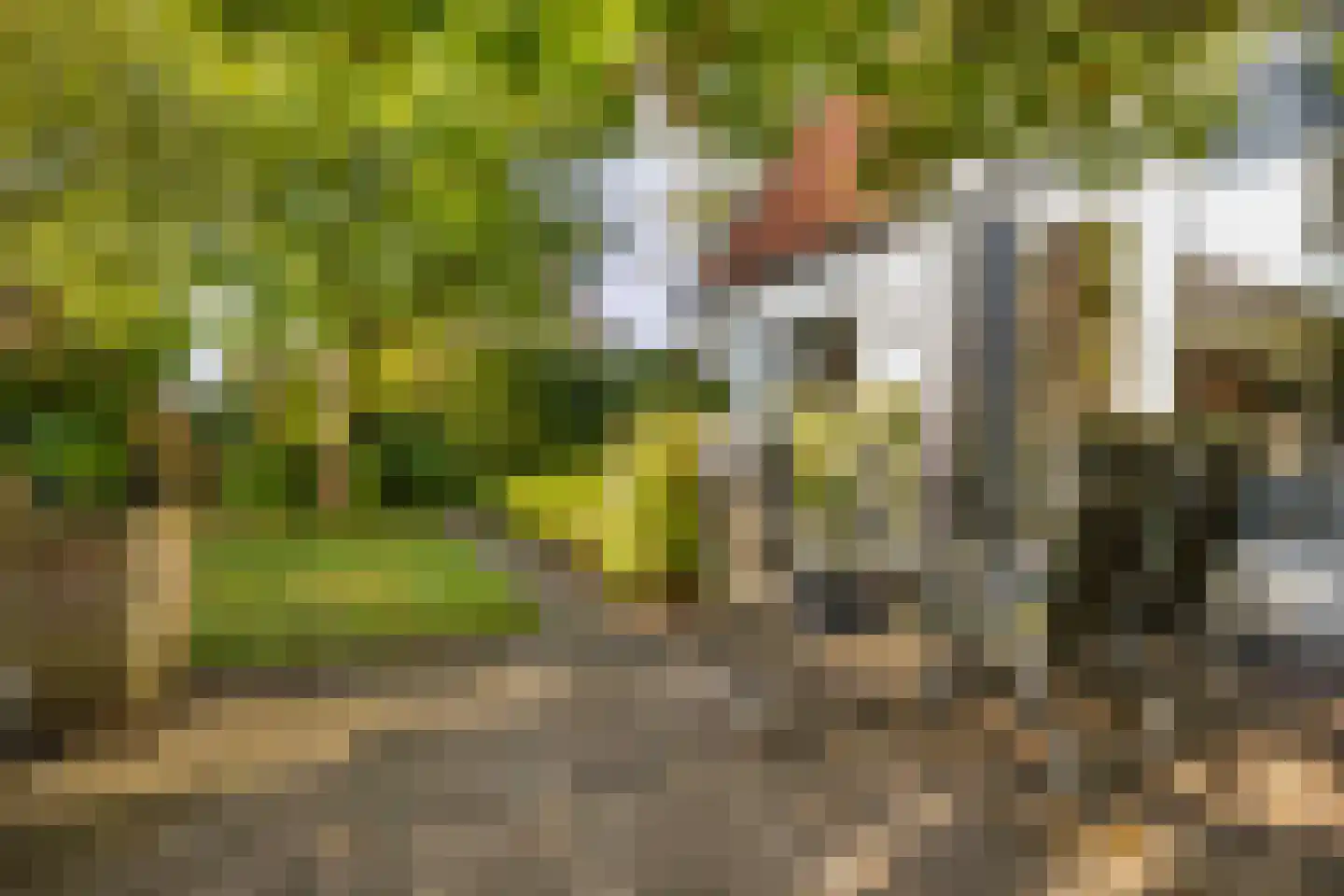 Rijksstraatweg 161 Leersum thumbnail 37
