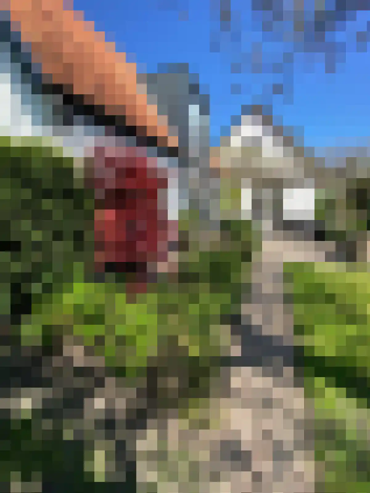 Rijksstraatweg 161 Leersum thumbnail 40