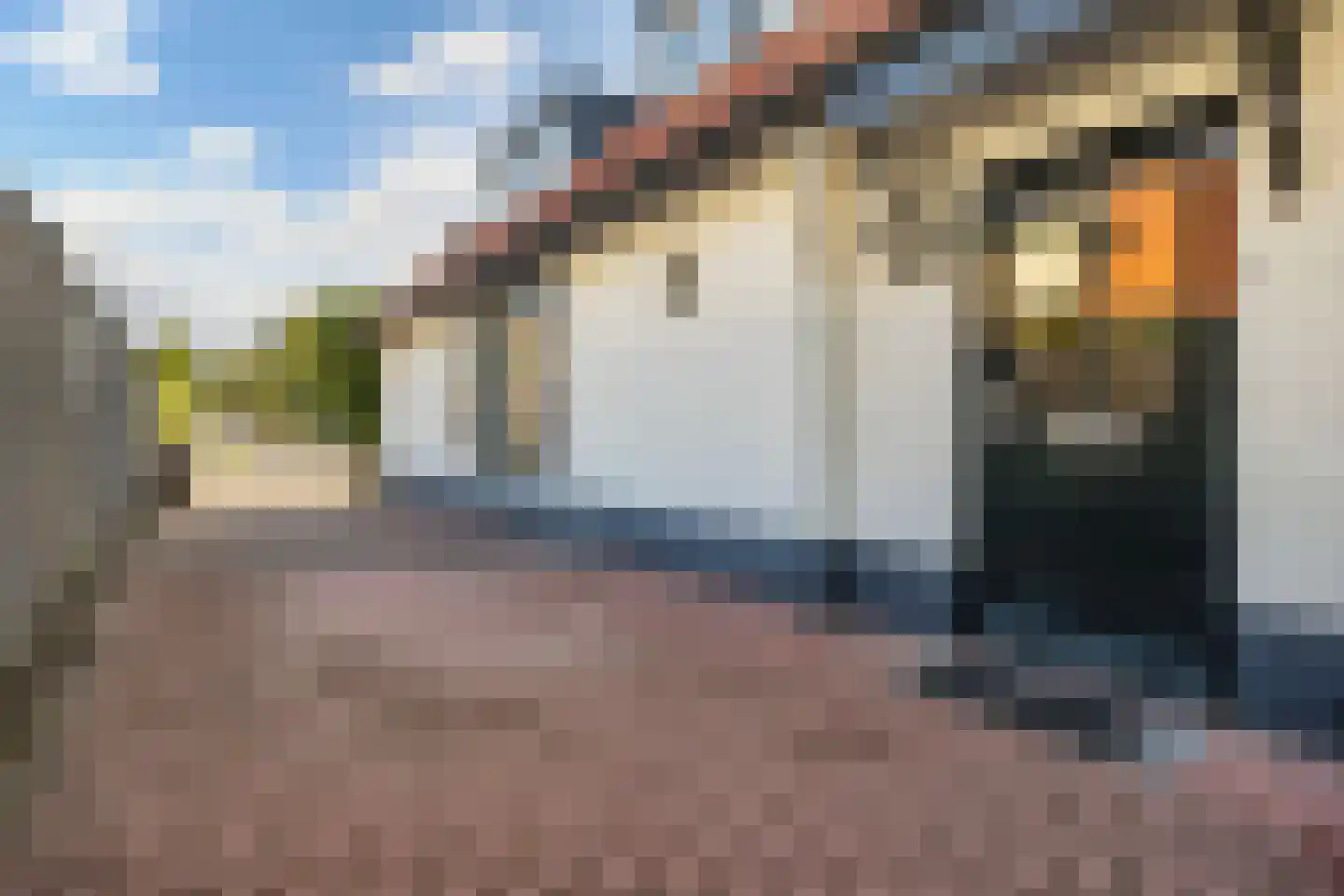 Rijksstraatweg 161 Leersum thumbnail 46