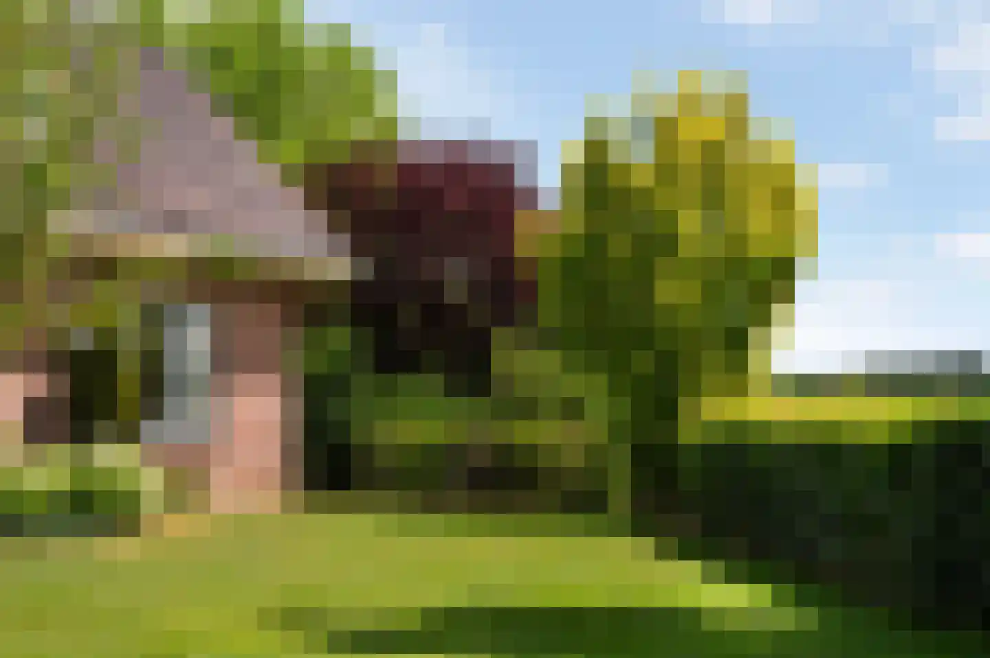 Rijksstraatweg 162 Teuge thumbnail 46